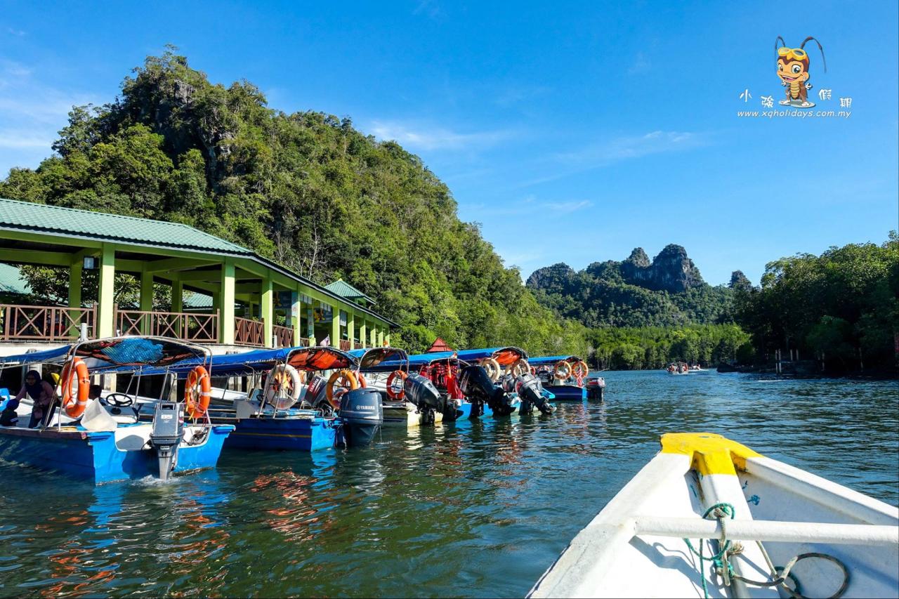 Jelajahi Ekosistem Bakau Langkawi yang Memesona dengan Mangrove Tour