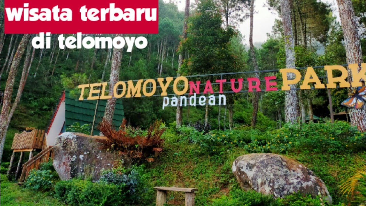 Telomoyo Nature Park: Pesona Alam dan Petualangan Menakjubkan